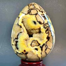 1pc stunning septarian for sale  Riverside
