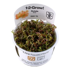 Tropica live aquarium for sale  THAME