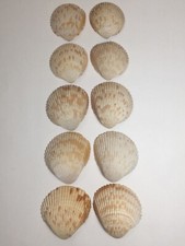 Pairs atlantic heart for sale  Marietta