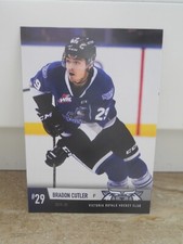 Brandon cutler 2019 gebraucht kaufen  Eschborn