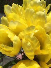 Yellow tulips bouquet for sale  Sparks