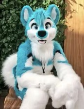 Komplett kostüm furry gebraucht kaufen  Kist