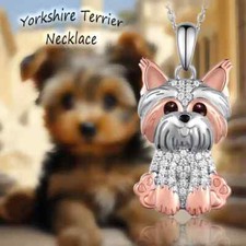Cute yorkshire terrier for sale  Bessemer City