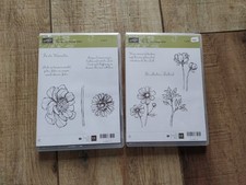 Stampin hoffnung blüht gebraucht kaufen  Oldenburg (Oldenburg)