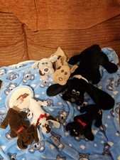 Pound puppies vintage for sale  BRIGHTON