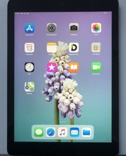 Apple ipad air gebraucht kaufen  Bad Rothenfelde