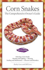 Corn snakes comprehensive for sale  UK