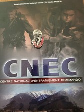 Insigne cnec csi d'occasion  Roanne