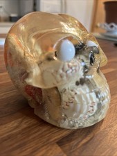 Resin human skull for sale  Lakeville