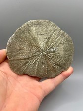 4.8 perfect round for sale  Sparta