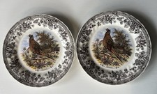 Conjunto de 2 pratos de jantar Churchill vintage jogo 10" design de faisões Phasiana em excelente estado usado comprar usado  Enviando para Brazil