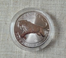 1oz silbermünze 2016 gebraucht kaufen 1oz silbermünze 2016 gebraucht kaufen  Betteldorf, Densborn, Pelm