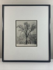 Ansel adams oak for sale  Arlington
