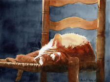 Giclee print tabby for sale  Columbia