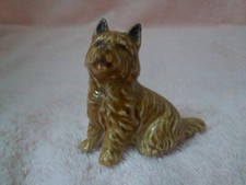 Wade cairn terrier for sale  LLANYMYNECH