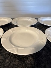 sea shells white pure for sale sea shells white pure for sale Crab Orchard