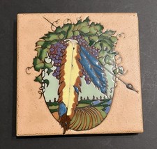 Indian springs vineyard for sale  Louisville