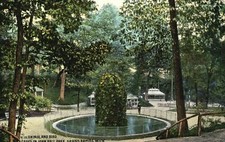 Vintage postcard 1909 for sale  Boiling Springs