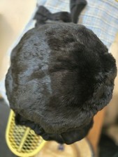 Antique real fur for sale  Madison