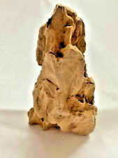 Natural ada dragon for sale  Tulsa
