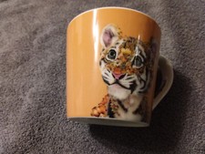Maxwell williams kaffee gebraucht kaufen  Deutschland