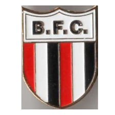 Pin (emblema) Brasil - Botafogo FC de Ribeirao Preto comprar usado  Enviando para Brazil