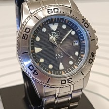 Relógio masculino ELGIN energia solar 50M à prova d'água todo em aço inoxidável PQ8, usado comprar usado  Enviando para Brazil