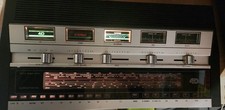 Räritet 1973 grundig usato  Spedire a Italy