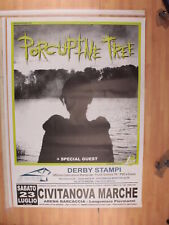 porcupine tree usato porcupine tree usato Monte San Pietro