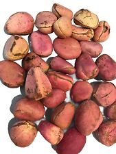 Kola nut large for sale  LONDON