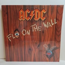 Fly wall vinyl for sale  Graham