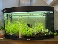 Juwel vision 180 for sale  EPSOM