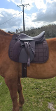 Selle privilège marron d'occasion  Morcenx
