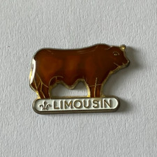 Pin limousin vache d'occasion  Aizenay