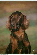 Animals dogs irish d'occasion  Expédié en Belgium