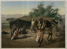 Egypte bedouins nomades d'occasion  Pagny-sur-Moselle