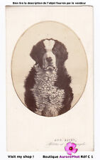 Chien portrait médaillon d'occasion  Chaumont
