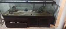 125 gallon fish for sale  Baltimore