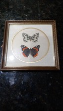 Hand painted british for sale  BEDFORD