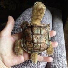 Steiff slo turtle for sale  DUMFRIES