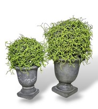 Artificial topiary plants for sale  Phoenix
