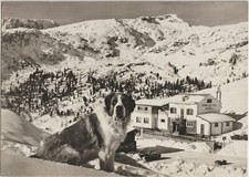 Passo valles lion usato  Polcenigo