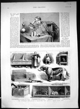 Old print 1888 for sale  UK