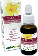 Rock rose eliantemo usato  Roma