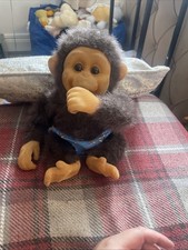 Hosung little monkey for sale  WALLSEND