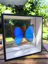 Vitrine vintage cadre d'occasion  Beauvais