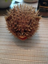 Antique puffer fish for sale  Rocky Mount