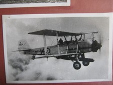 Old photo military for sale  MELKSHAM