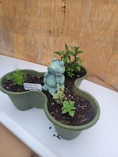 Section mix herb for sale  Portland