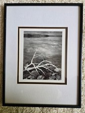 Ansel adams framed for sale  Wyoming